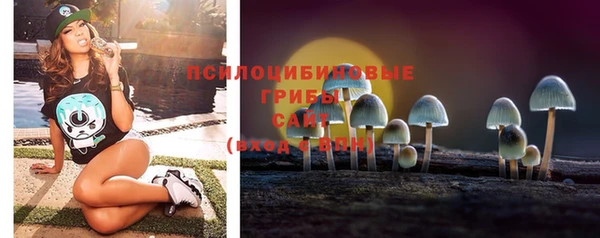 МДПВ Инта
