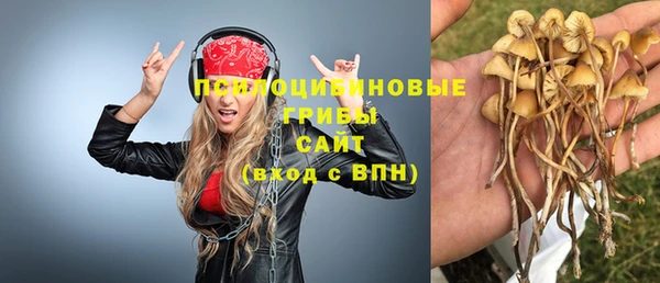 МДПВ Инта