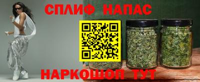 spice Гатчина