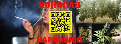 ECSTASY Гай