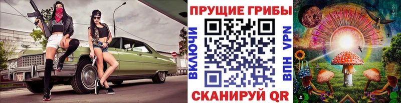 цены   Красноармейск  Псилоцибиновые грибы MAGIC MUSHROOMS 
