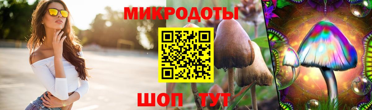 Галлюциногенные грибы Psilocybine cubensis  Вход с VPN  Галлюциногенные грибы MAGIC MUSHROOMS  Красноармейск 