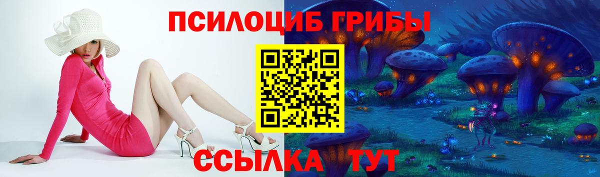 Галлюциногенные грибы Psilocybine cubensis Красноармейск
